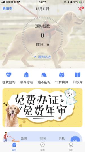犬卫士